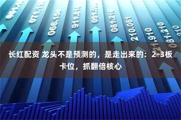 长红配资 龙头不是预测的,是走出来的:2-3板卡位,抓翻倍核心